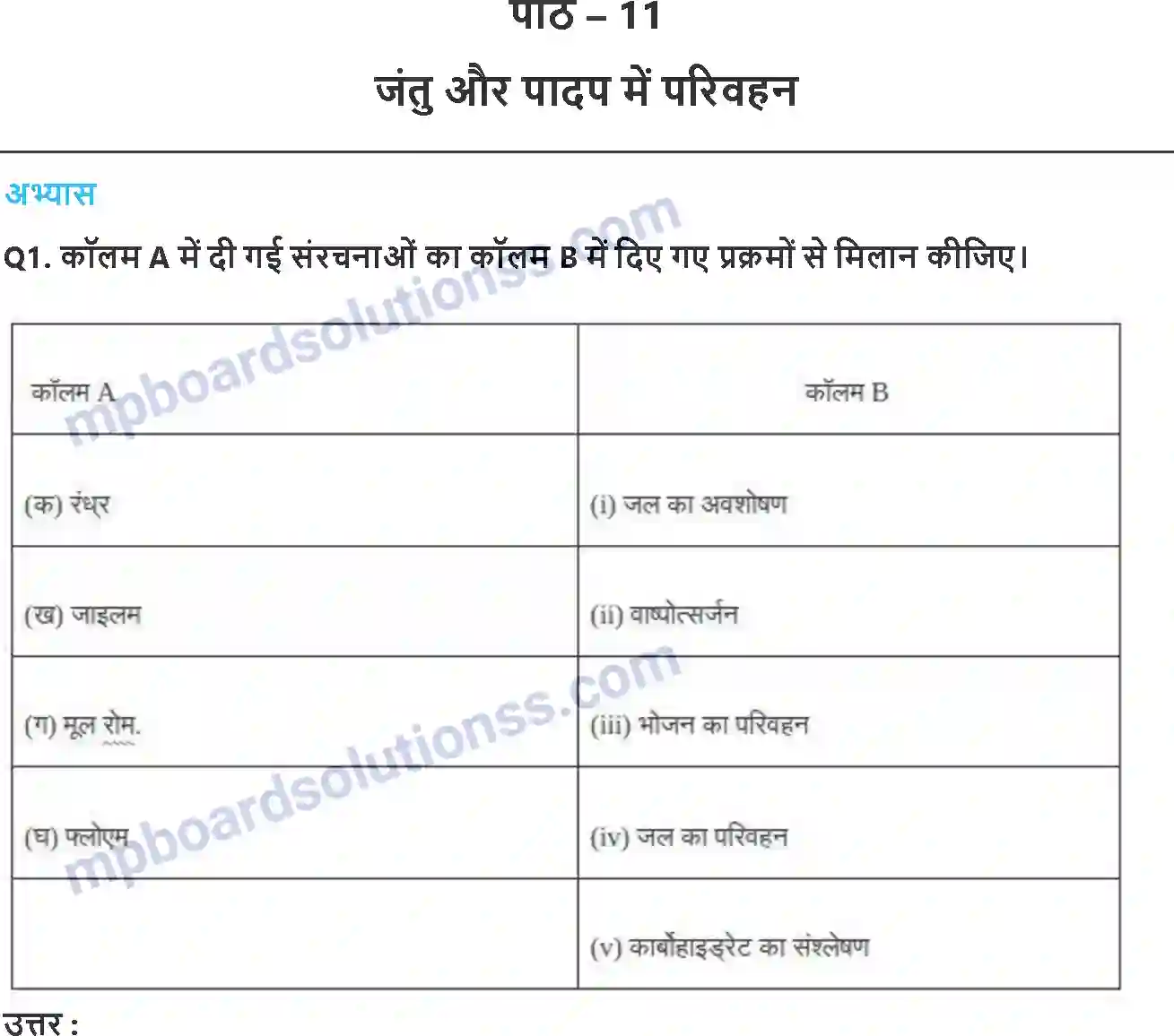 MP Board Book for Class 7 Science जंतुओं और पादप में परिवहन Image 1