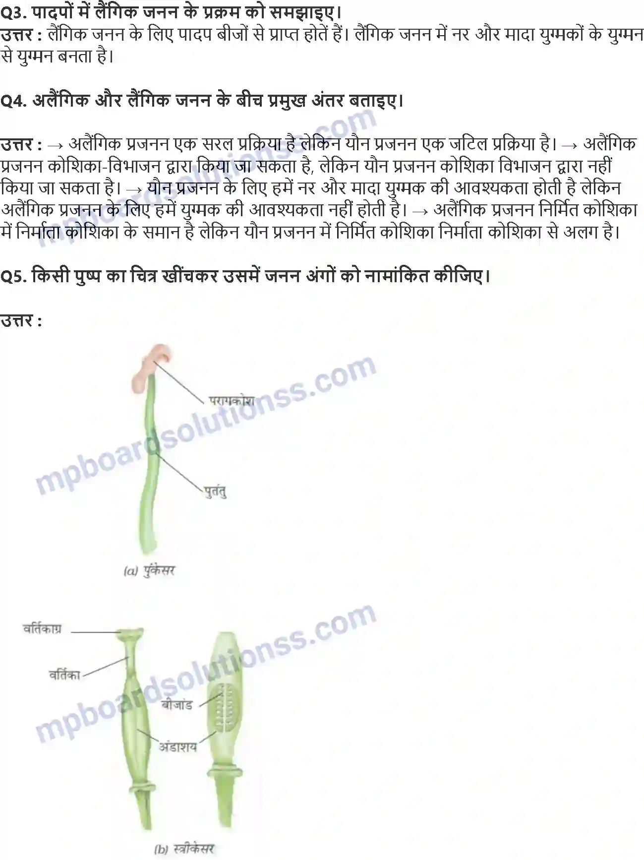 MP Board Book for Class 7 Science पादप में जनन Image 2