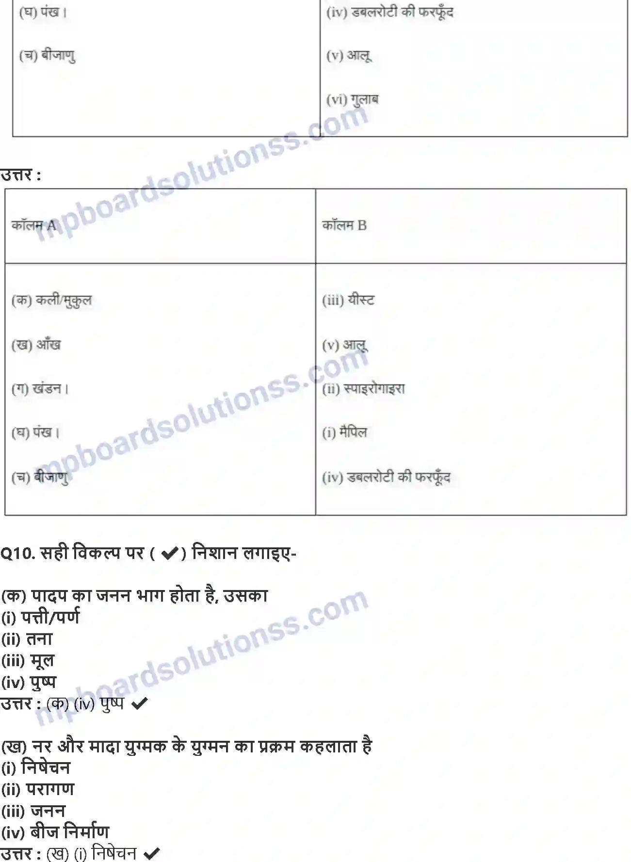 MP Board Book for Class 7 Science पादप में जनन Image 4