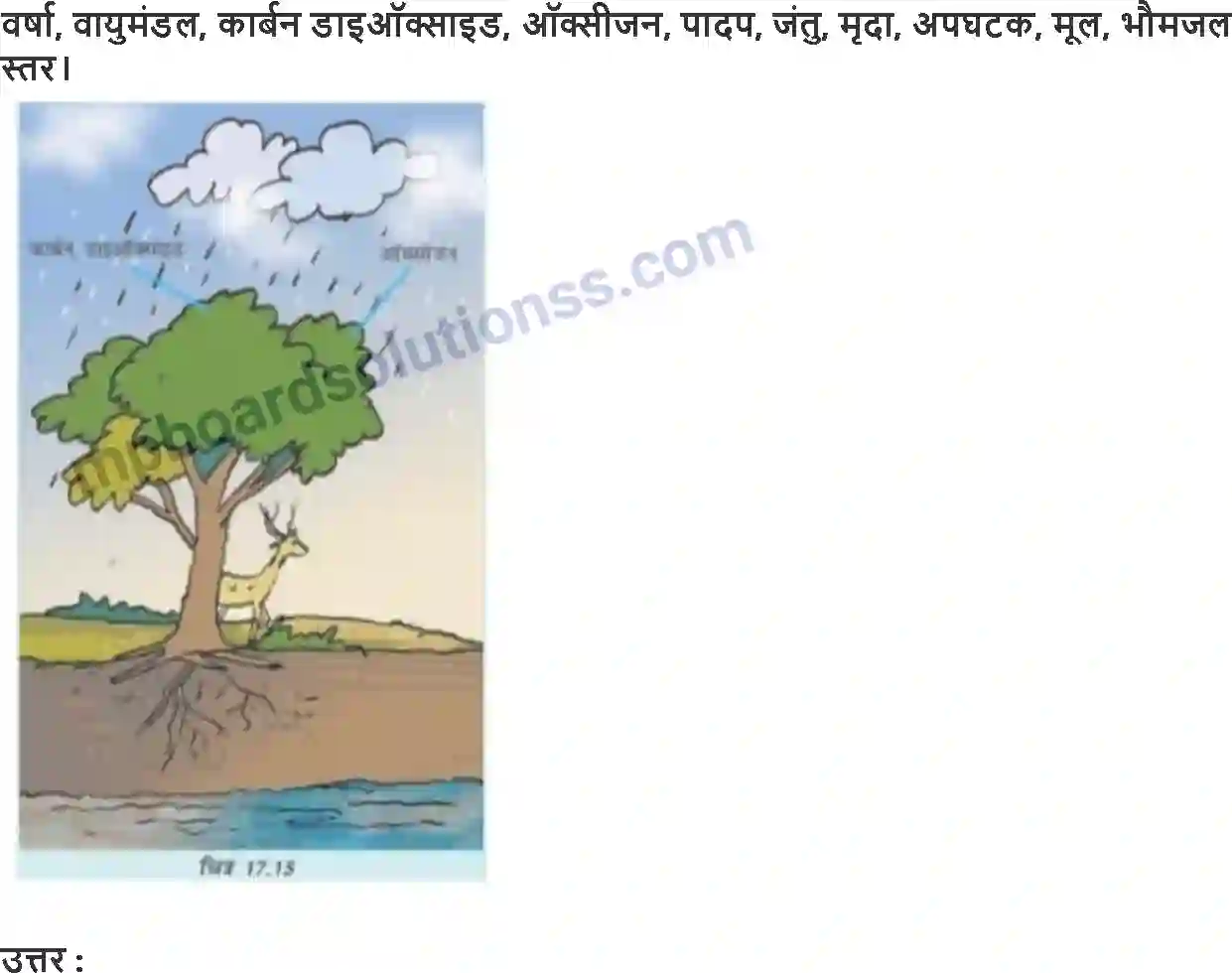 MP Board Book for Class 7 Science वन हमारी जीवन रेखा Image 3