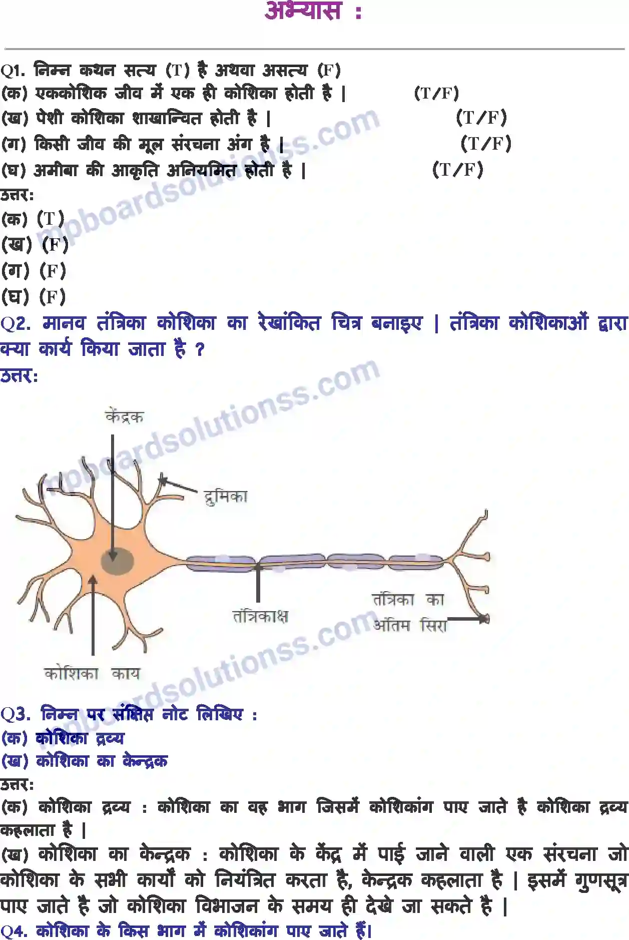 MP Board Book for Class 8 Science कोशिका - संरचना एवं प्रकार्य Image 2