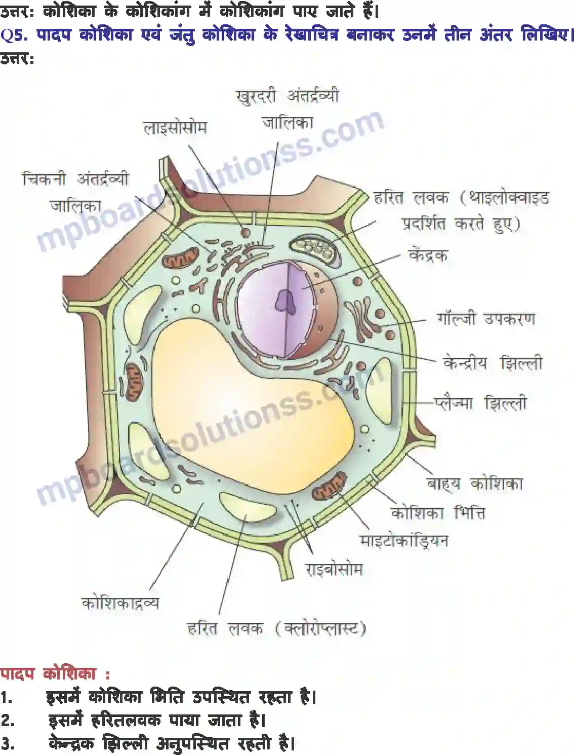 MP Board Book for Class 8 Science कोशिका - संरचना एवं प्रकार्य Image 3