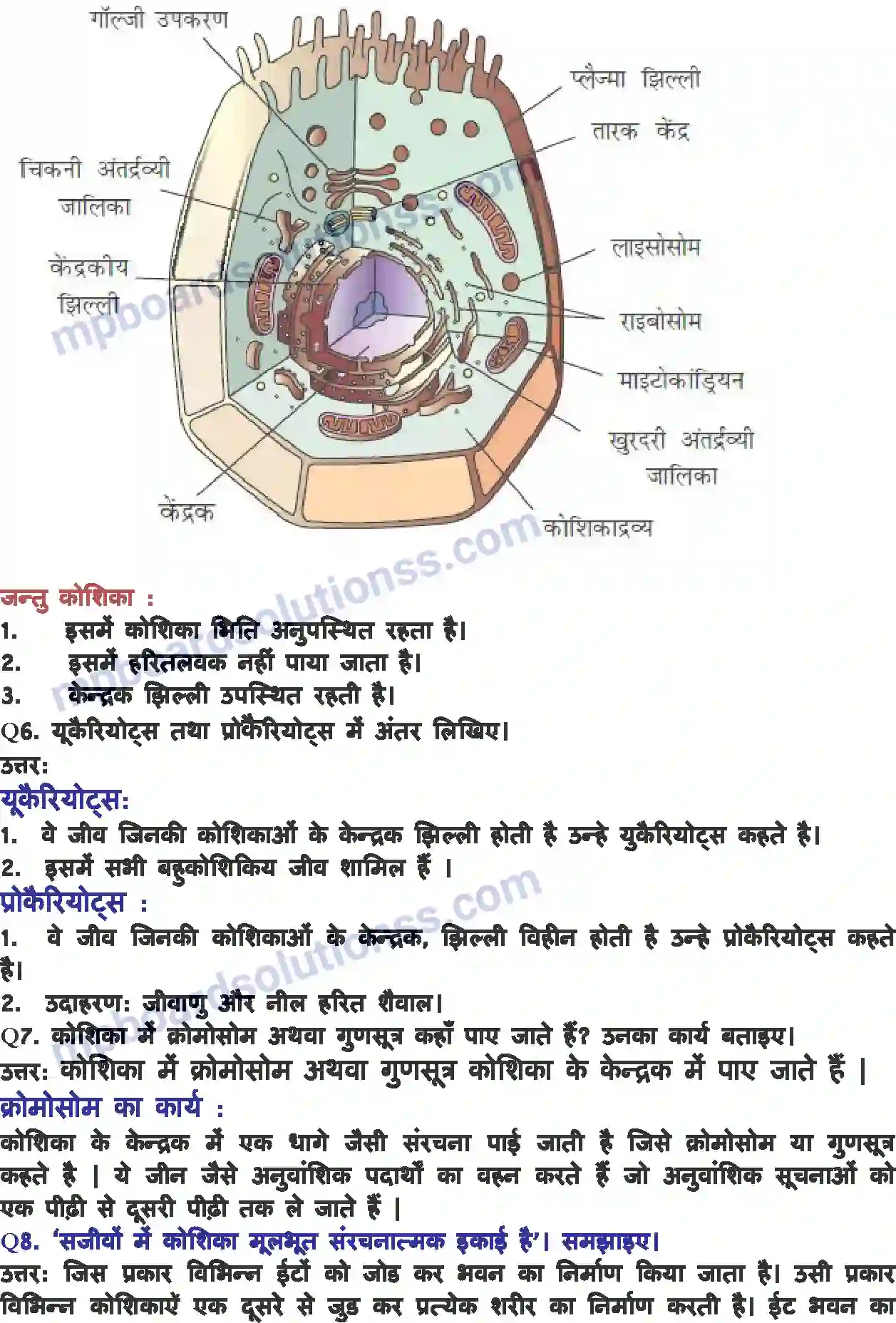 MP Board Book for Class 8 Science कोशिका - संरचना एवं प्रकार्य Image 4