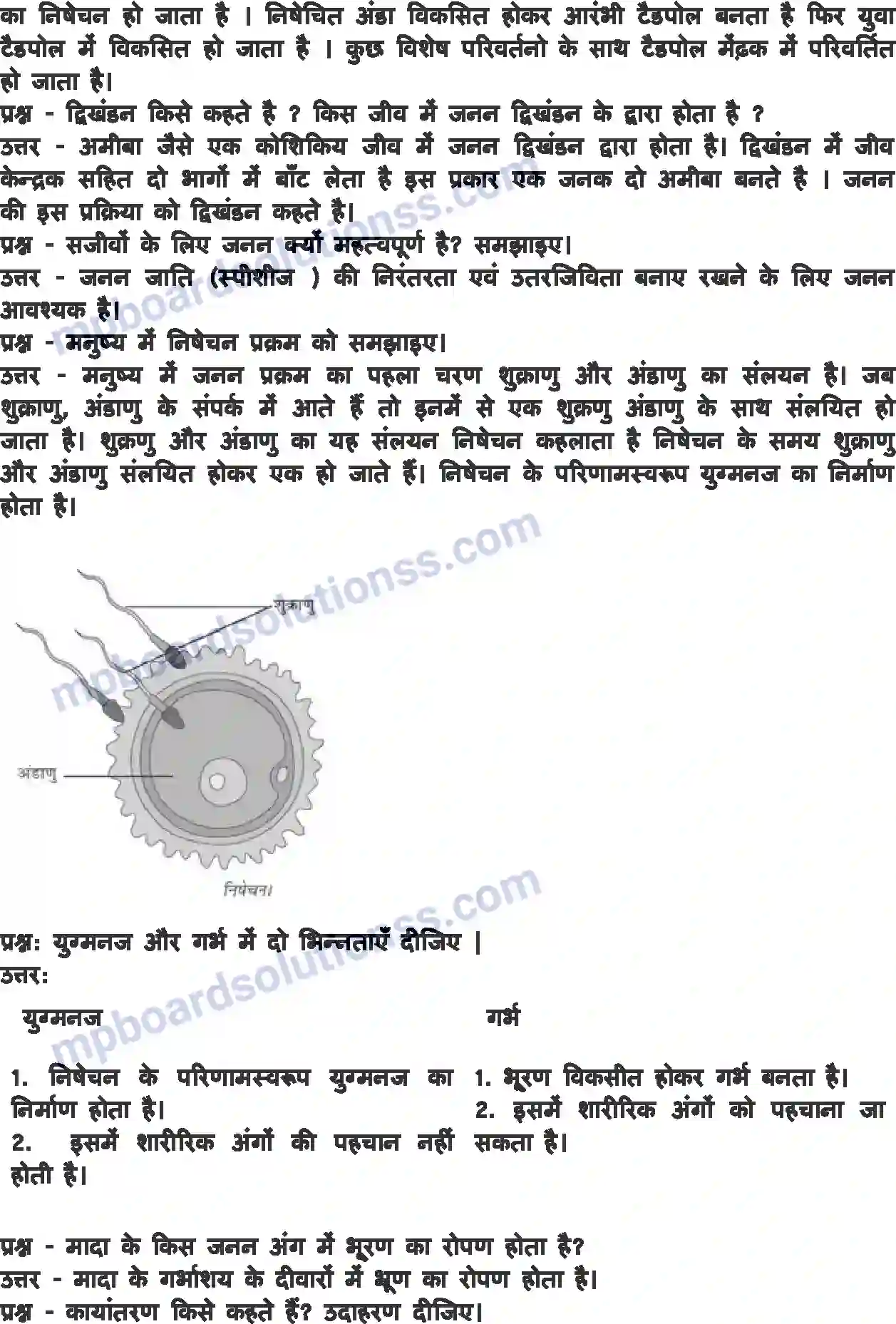MP Board Book for Class 8 Science जंतुओं में जनन Image 4