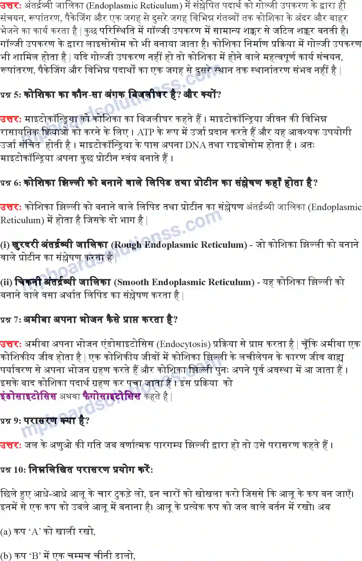 MP Board Book for Class 9 Science जीवन की मौलिक इकाई Image 6