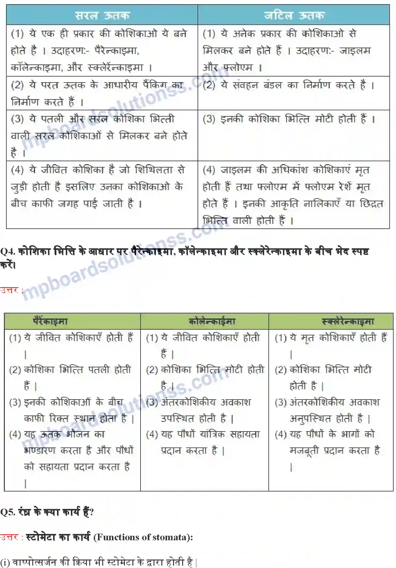 MP Board Book for Class 9 Science ऊतक Image 6