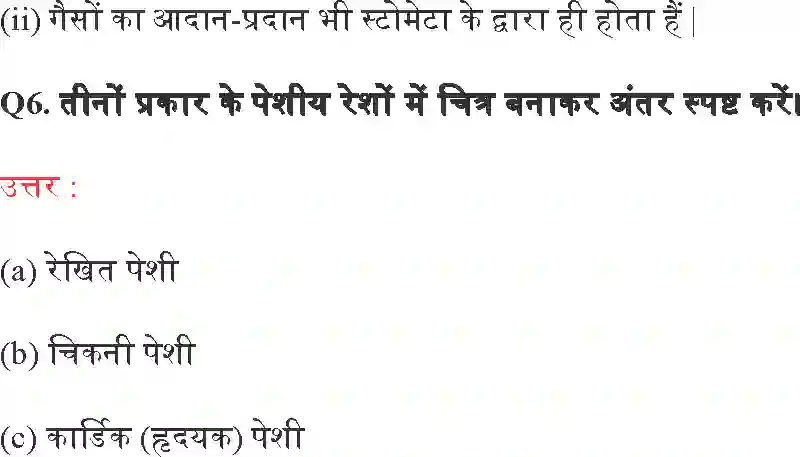 MP Board Book for Class 9 Science ऊतक Image 7