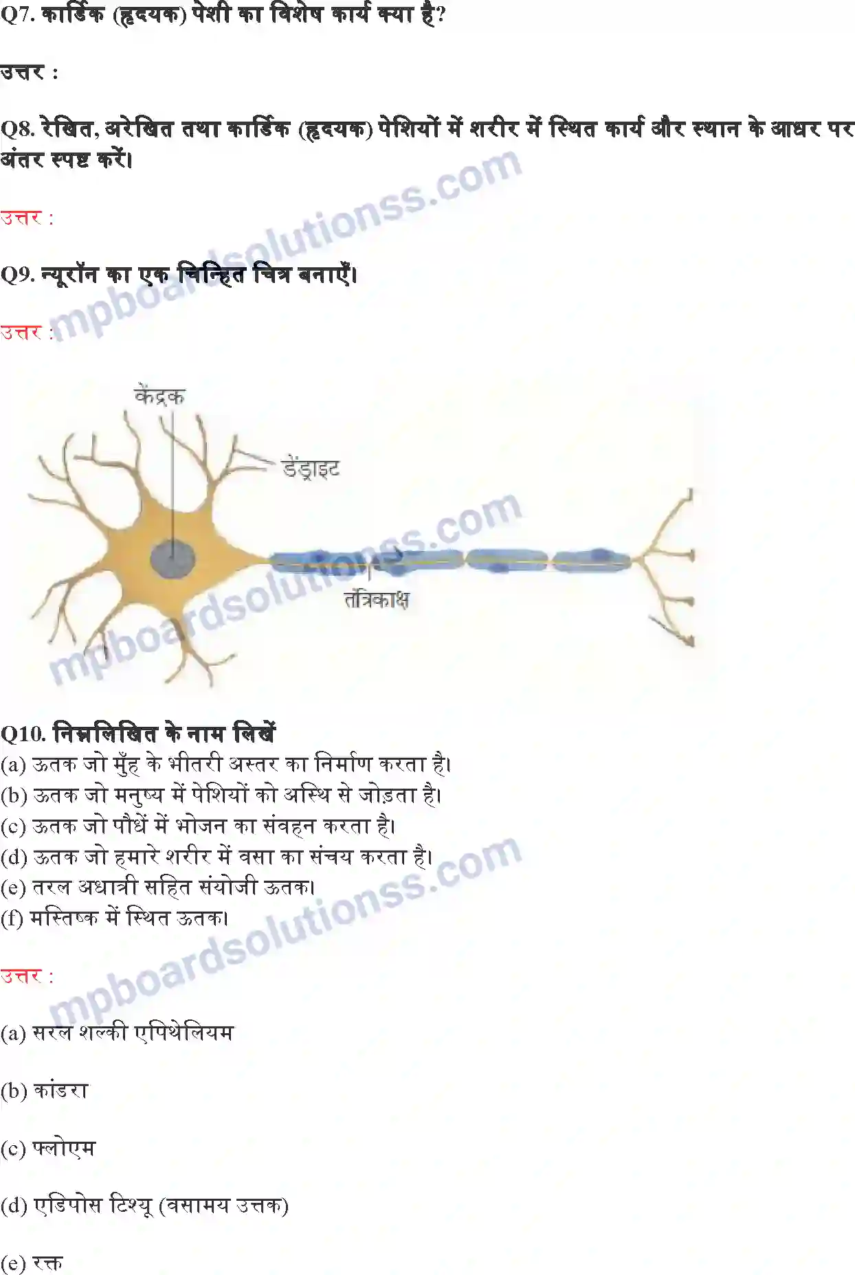 MP Board Book for Class 9 Science ऊतक Image 9